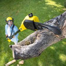  Cataula, GA Tree Removal and Landscaping Services Pros